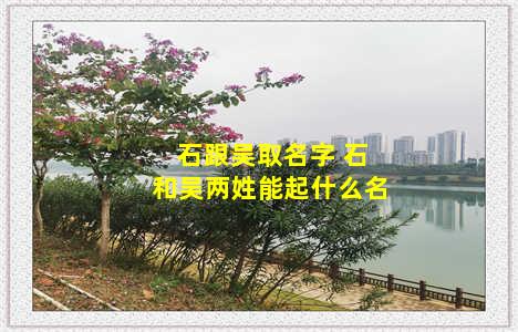 石跟吴取名字 石和吴两姓能起什么名